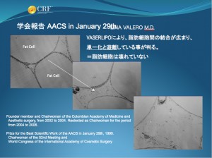 ベイザー脂肪吸引 脂肪細胞 資料 画像