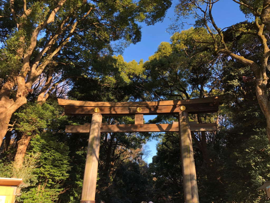 明けましておめでとうございます。今年皆様にとって良い年でありますように。初詣