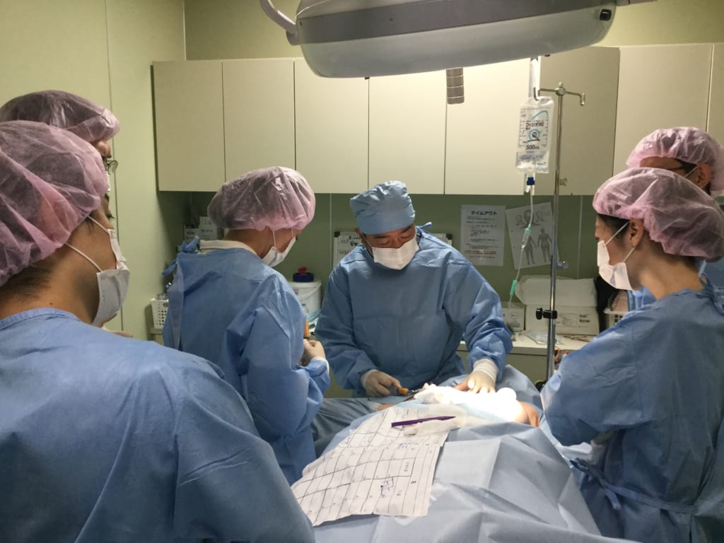 がん研有明病院：形成外科チームが脂肪注入の見学にいらっしゃいました。
